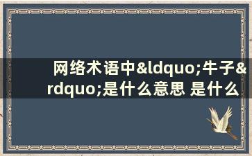 网络术语中“牛子”是什么意思 是什么概念？ （网络术语“牛子”是什么意思？）